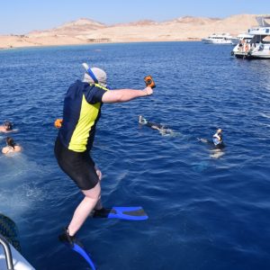 Half-day Snorkeling Boat trip with lunch and drinks from Sharm El Sheikh Sightseeing and Tours