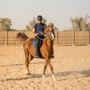 Horse Riding At Mleiha Arena Sports Events